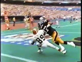 Steelers 1989 Yearbook [Yes, We Can]
