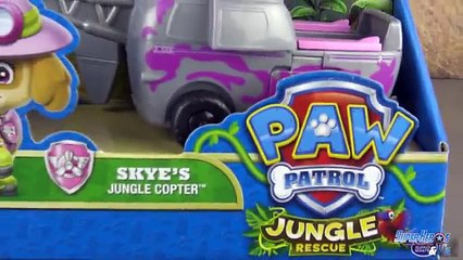 Pat Patrouille Avion Air Patrouilleur Paw Patrol Air Patroller Review Jouet Patrulla Canin