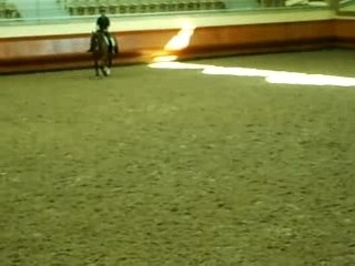 cadre noir -  Saumur