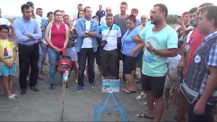 Hatay'da Caretta Carettalar Yavruları Denizle Buluştu