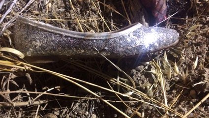 Jandarma, İzmir'de Öldürülen Kadının Kimliğini Tespit Etmek İçin 1200 Kadını Takibe Aldı