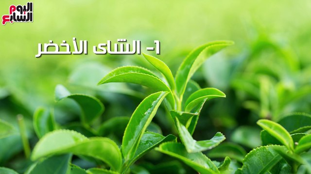 فيديو معلوماتى.. 3 وصفات من مطبخك لشعر ناعم وقوى