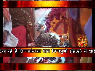 Experience the Divine Aarti at Chinnamstika Dham, Chintapurni, Himachal 🌸