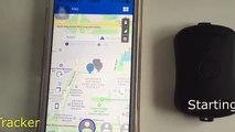 GPS Pet Tracker PT590 Demonstration - ThinkRace Technology