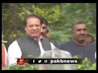 Ammi Jaan Kehti Thi (Nawaz Sharif Panama Papers Song 2017 ) _ ! Classic Hit Videos