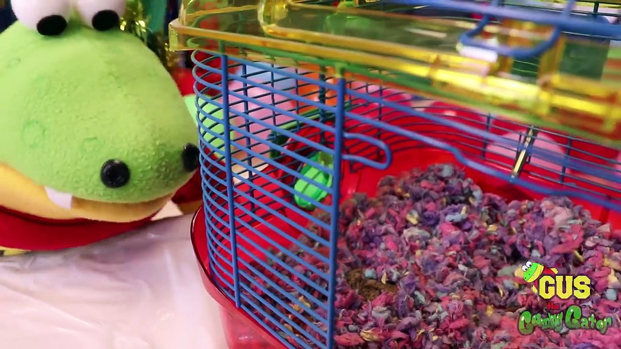 GUS TRAPPED in a Hamster Cage! Birthday party Kids pretend Playtime-5VVGnjcO37w