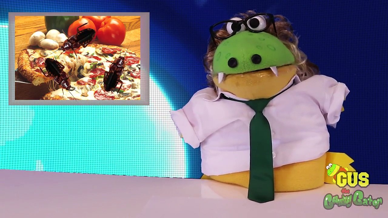 Natural DISASTER SURVIVAL Family Fun kids Pretend Playtime! Gus as a news reporter-2INX4Oh7E0o