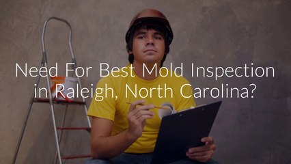 Mold Inspection in Raleigh, North Carolina