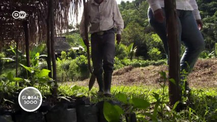 Reforestation in the 'Land of Trees' | Global 3000