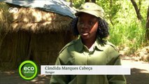 Female rangers in Gorongoza National Park | Eco-at-Africa