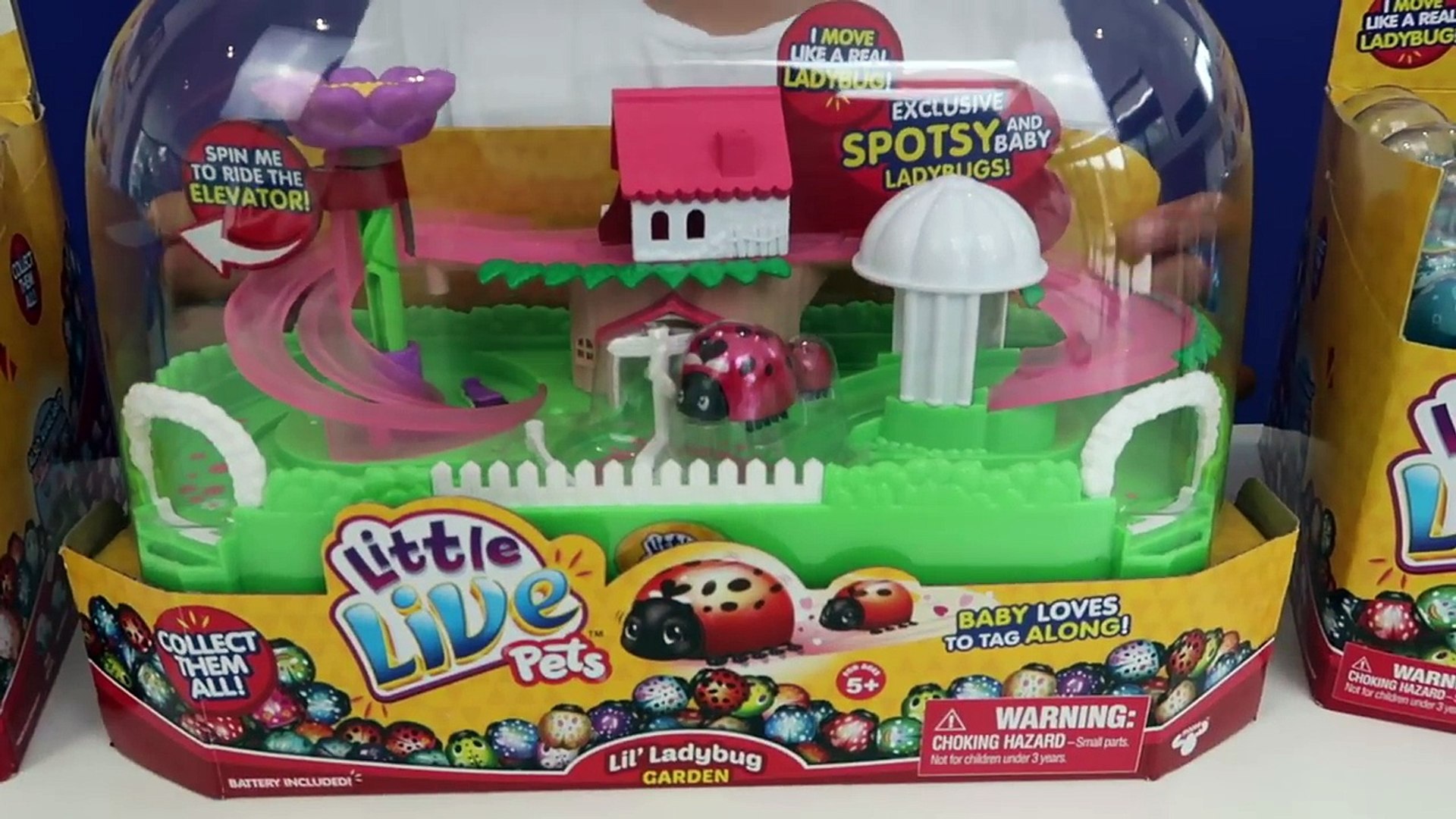 ⁣Little Live Pets Surprise Ladybugs & Baby Bugs - Mega Toy Haul Opening _ Toys AndMe-fbAFqu5m-kY
