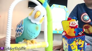 Talking Bird Toy! Little Live Pets Rolls Off Table + Funny Phrases HobbyKidsTV