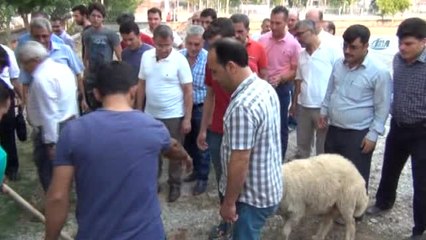 Kozan'da Kurban Kesim Kursu Açıldı