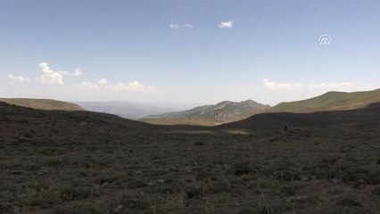 Yaylacıların Zorlu Ama Bir O Kadar Renkli Yaşamı - Elazığ