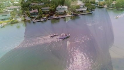 Siesta Key Season 1 Episode 5 Full Watch Online HD720p