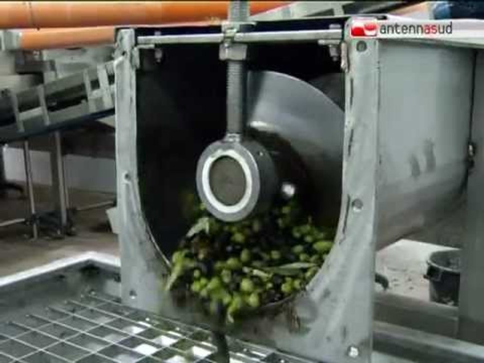 TG 02.03.12 Gal Fior d'Olivi: gli investimenti mettono radici