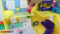 Porc jouets et sur vlogs Dasa Peppa Pig jouet ses amis Pediatric plaschadka Peppa