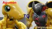 [Quick Review]Digimonデジモンtoy-Warp Degenerating WarGreymonウォーグレイモン to Agumonアグモン[720p]