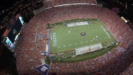 Silver Wings Parachute Jump Team lands in Jordan Hare Stadium