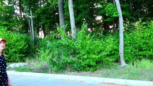 Вредные Детки превратили АРБУЗ в ГИГАНТСКИЙ ! Bad Baby Видео для Детей-YptFDXlBJx0