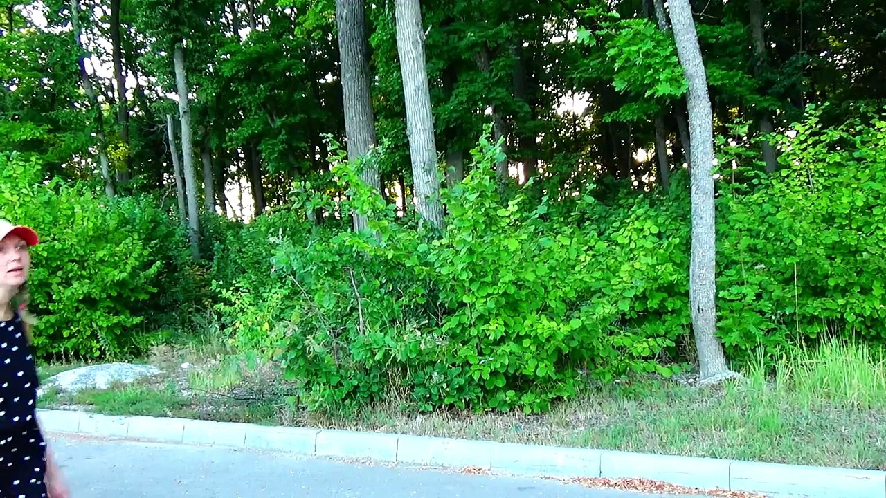 Вредные Детки сделали ГИГАНТСКИЙ АРБУЗ !!! Bad Baby GIANT WATERMELON Видео для детей-uV2V8O1d-jQ