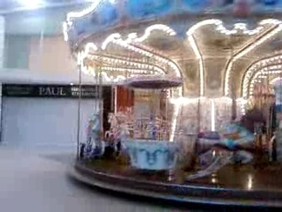 cheveau de bois 3 et fin