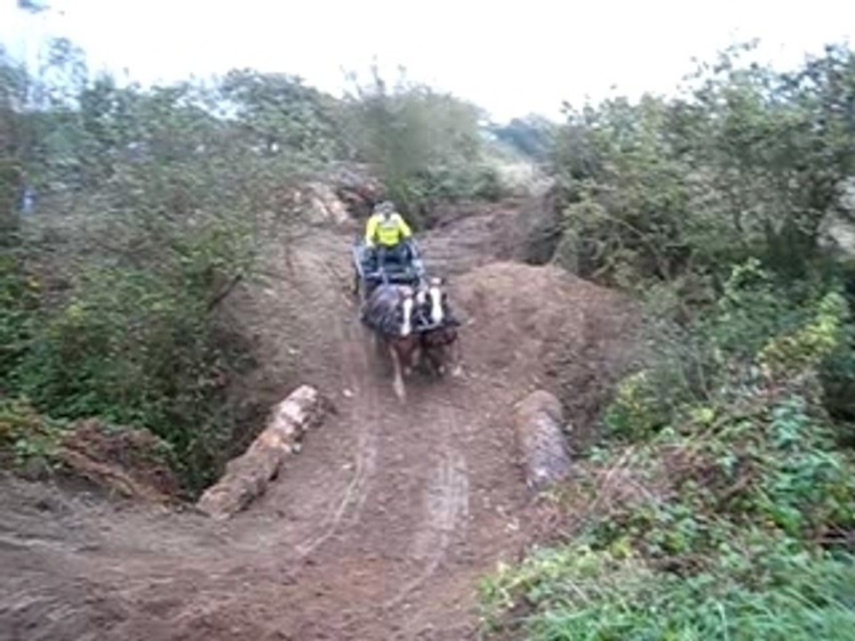 TREC GUILERS 2007041