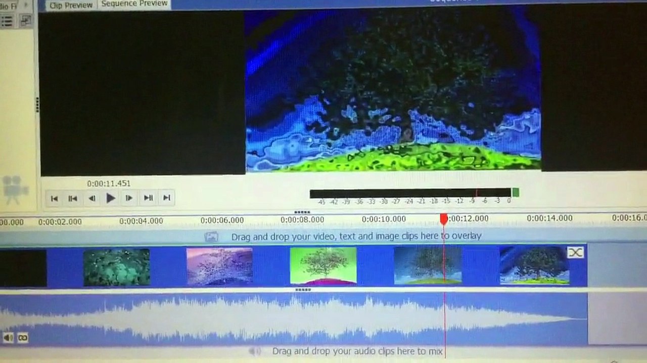Video & Audio Equipment Test (Inner Roots)