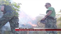 Beteja me zjarret, pyjet në flakë - News, Lajme - Vizion Plus