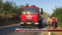 Betejë me flakët, zjarri bllokon Fier – Levan - News, Lajme - Vizion Plus