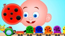 Learn Colors with Oreo Cookies for Children | Little Baby Boy Play with Cookies Toy