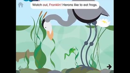 Learn all about a Frog Life Cycle at www.turtlediary.com
