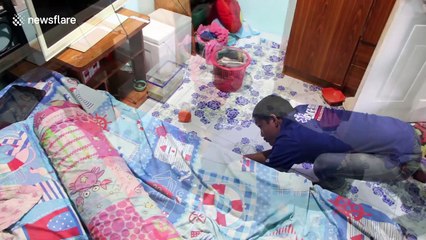 Python found hiding under child's bed after killing family cat