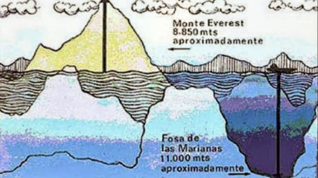 De la fe. un en what parte superior 8 cosas sabias fondo mar 8 cosas sabias existian el