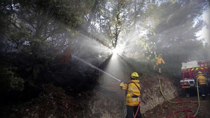 Le courrier inattendu de Jean-Jacques Goldman
