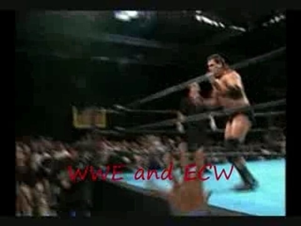 WWE and ECW VS TNA and WCW