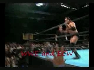 WWE and ECW VS TNA and WCW