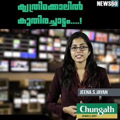 Riding helps disabled Gazan teen build confidence