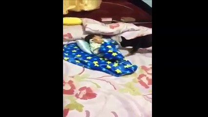 شاهد الفيديو و قل سبحان الله