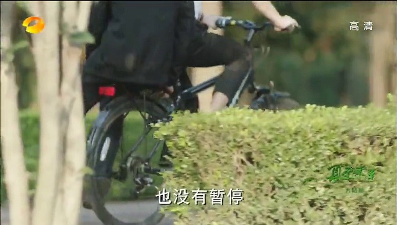 夏至未至-ⱈ集 (2)