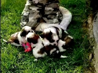 Nouvelles videos 001