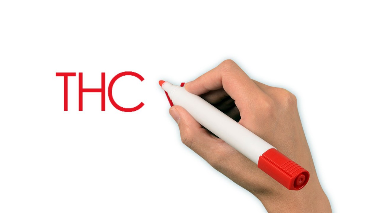 THC vs CBD