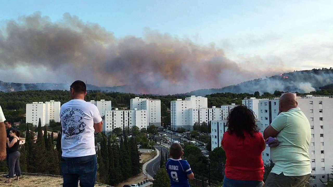 Feu d'Aubagne : les flammes ravagent la forêt