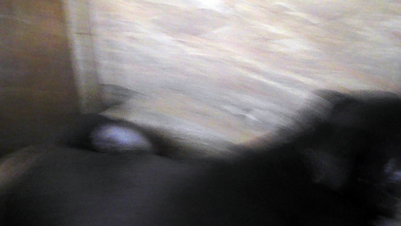 Findus
