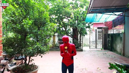 Красавица вызов Одежда Эльза замороженный замороженные весело в в в в джокер Рапунцель реальная человек-паук