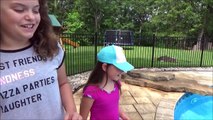 Frog and Mouse In Pool Victoria Annabelle Freak Family Summer Vacation Vlog #6