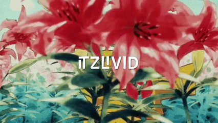 WHY I SHOULDNT PLAY FOOTBALL.....