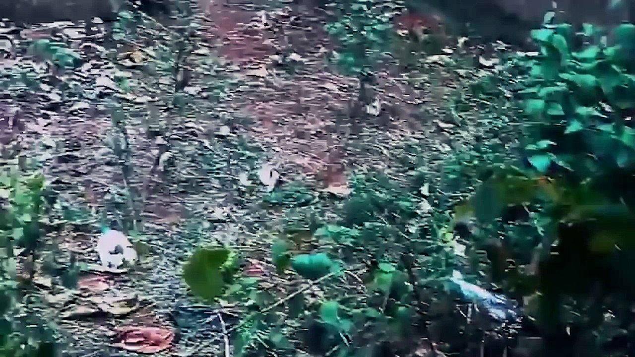 10 Paranormal & Mysterious Things Caught On Camera! Creepy GHOSTS