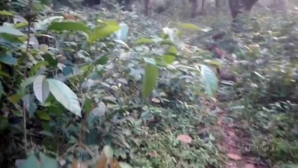 Extreme Disturbing Real DEMON Footage Caught On Tape _ Scary Videos _ Real Ghost Caught On Camera