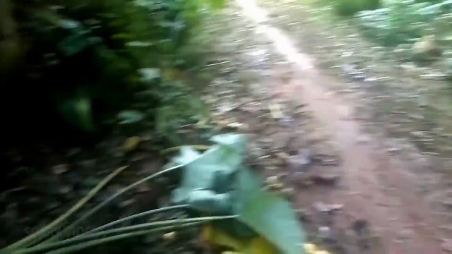 Ghost Spirit Caught On Camera From Haunted Place _ Human SOUL Coming Out of Body _ Scary Videos